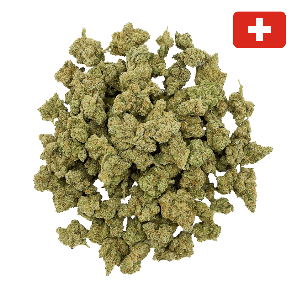 Amnesia Haze CBD - Medium Bud - Indoor-Hydro